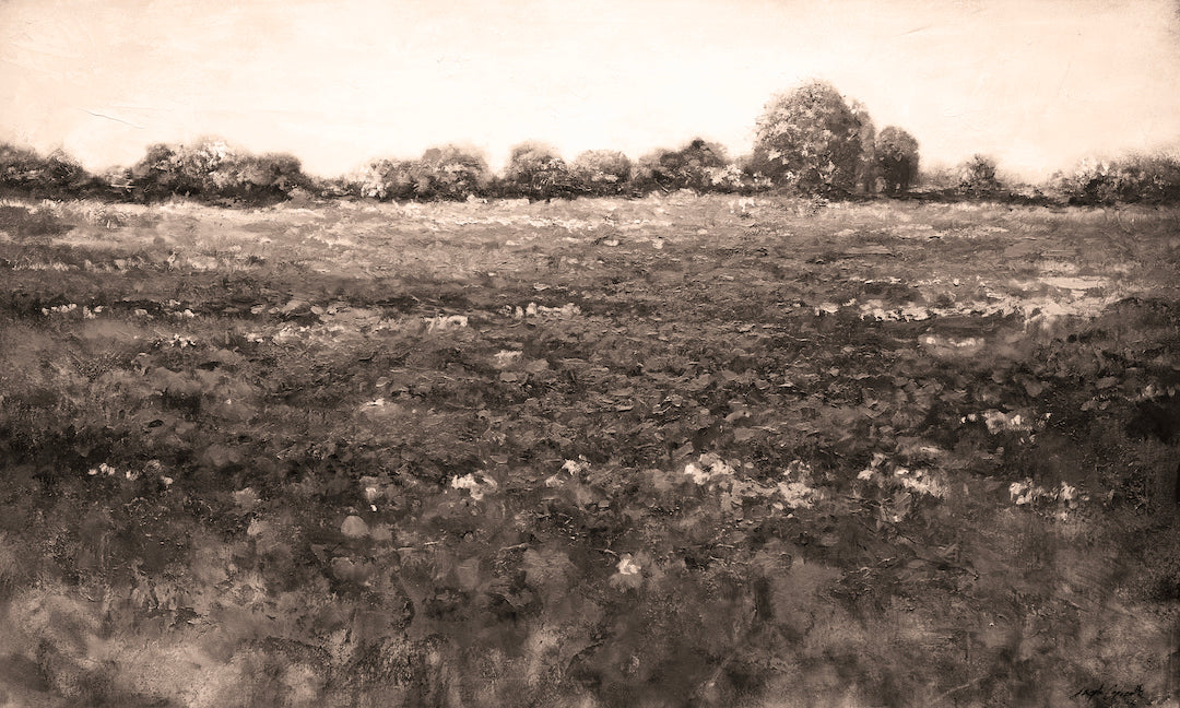 Red Meadow 2/#541/E