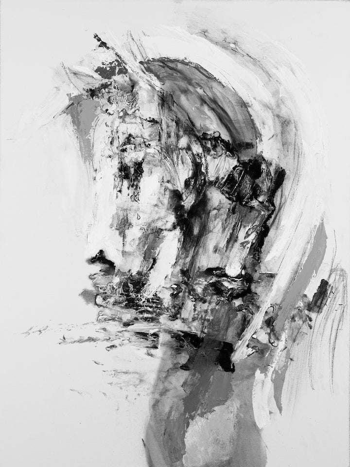 Horse Head Abstract One/#623/D