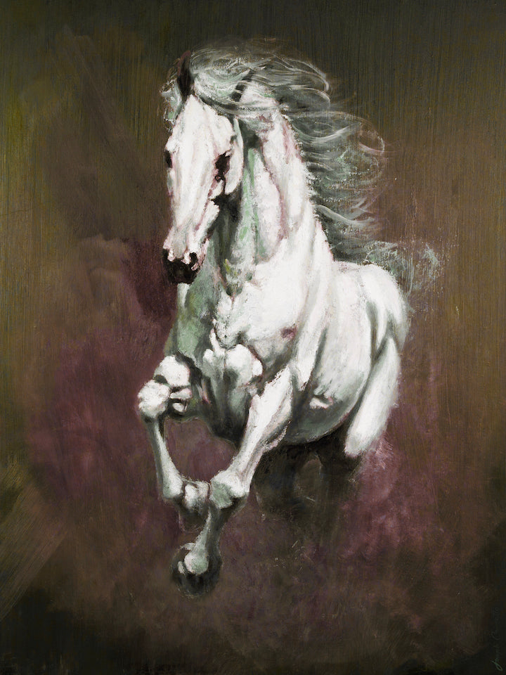 Cavallo Bianco/#650/A