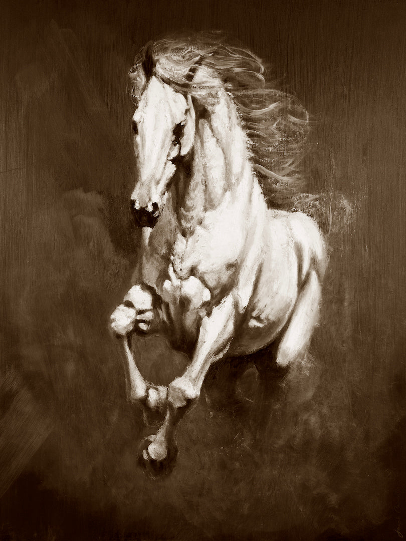 Cavallo Bianco/#650/E