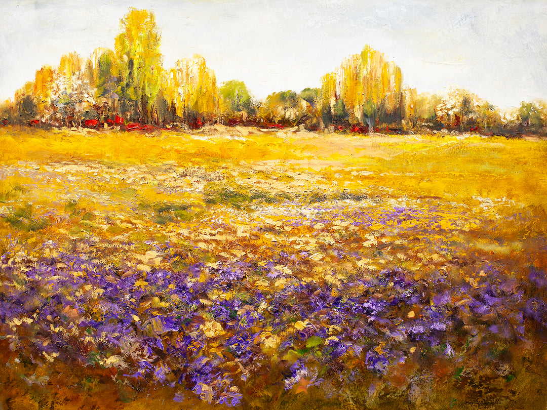 Purple and Gold/AP/#441