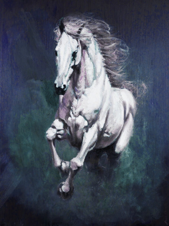 Cavallo Bianco/#650/C