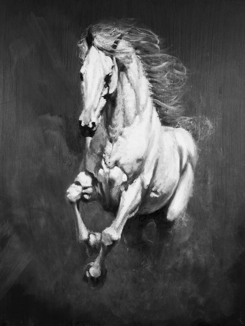 Cavallo Bianco/#650/D